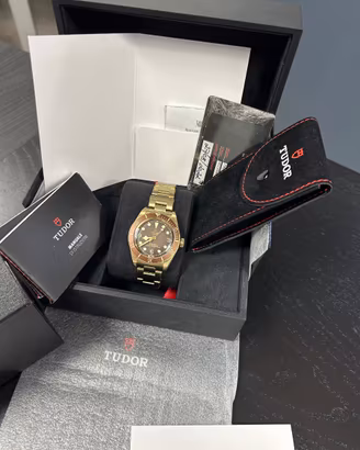 Tudor BB Bronze Boutique