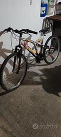  bici battecchia cc650 