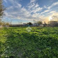 TER. RESIDENZIALE A BELCASTRO