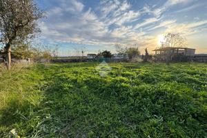 TER. RESIDENZIALE A BELCASTRO