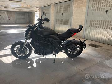 benelli 502c 2022