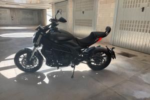 benelli 502c 2022