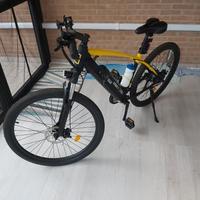 bicicletta elettrica 