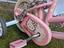 Immagine 4