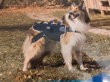 Corpetto integrale con maniglia per cani  