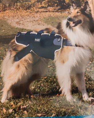 Corpetto integrale con maniglia per cani  