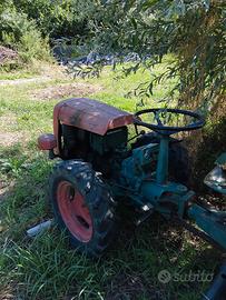 Trattore Goldoni usato