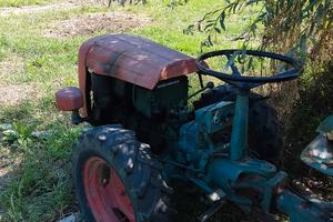 Trattore Goldoni usato