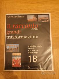 libro scolastico Storia di Antonio Brusa