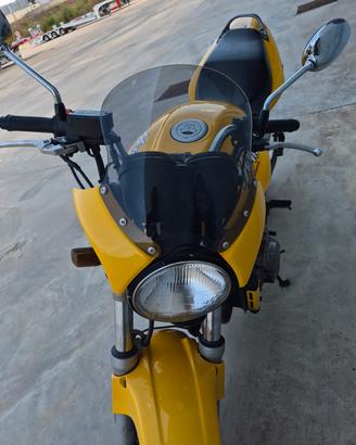 honda hornet 