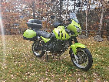 Triumph Tiger 955 anno 2001