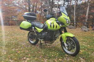 Triumph Tiger 955 anno 2001