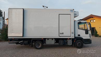 Eurocargo 100 E18 E5 cella frigo ATP con SPONDA