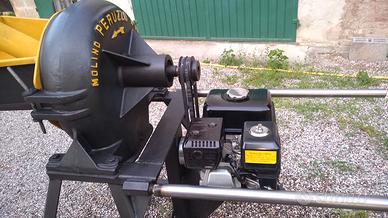 MULINO A MOTORE