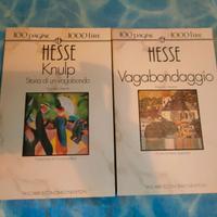 Knulp  + Vagabondaggio  - H. Hesse