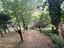 Immagine 28