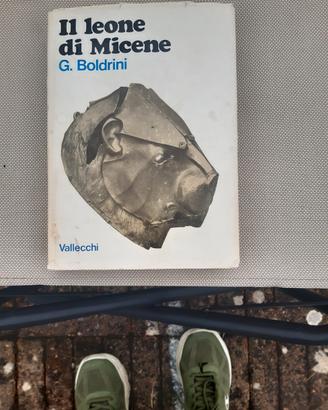 IL LEONE DI MICENE di G. Boldrini
