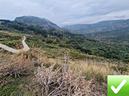 terreno-agricolo-13000-mq-santa-domenica