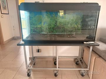 Acquario  120x60x50