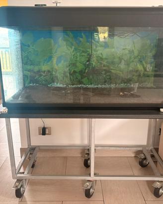 Acquario  120x60x50
