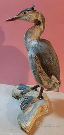 Svasso maggiore scultura in dimensioni naturali