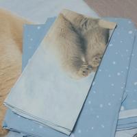 Copriletto e lenzuolo singolo.