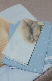 Copriletto e lenzuolo singolo.