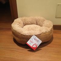 Accessori NUOVI MAI USATI per cagnolina/cane