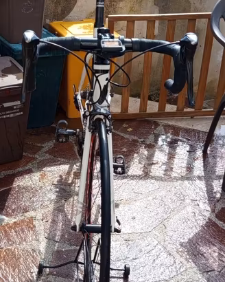 Bici corsa carbonio frw