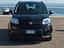 Immagine 29