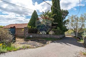 Villa o villino - Pedara