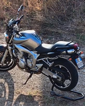 Yamaha Fz6 