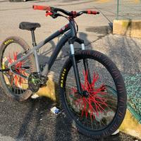 bici modificata (whellie bike)