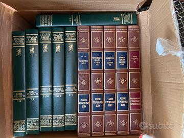 LOTTO ENCICLOPEDIE E DIZIONATI