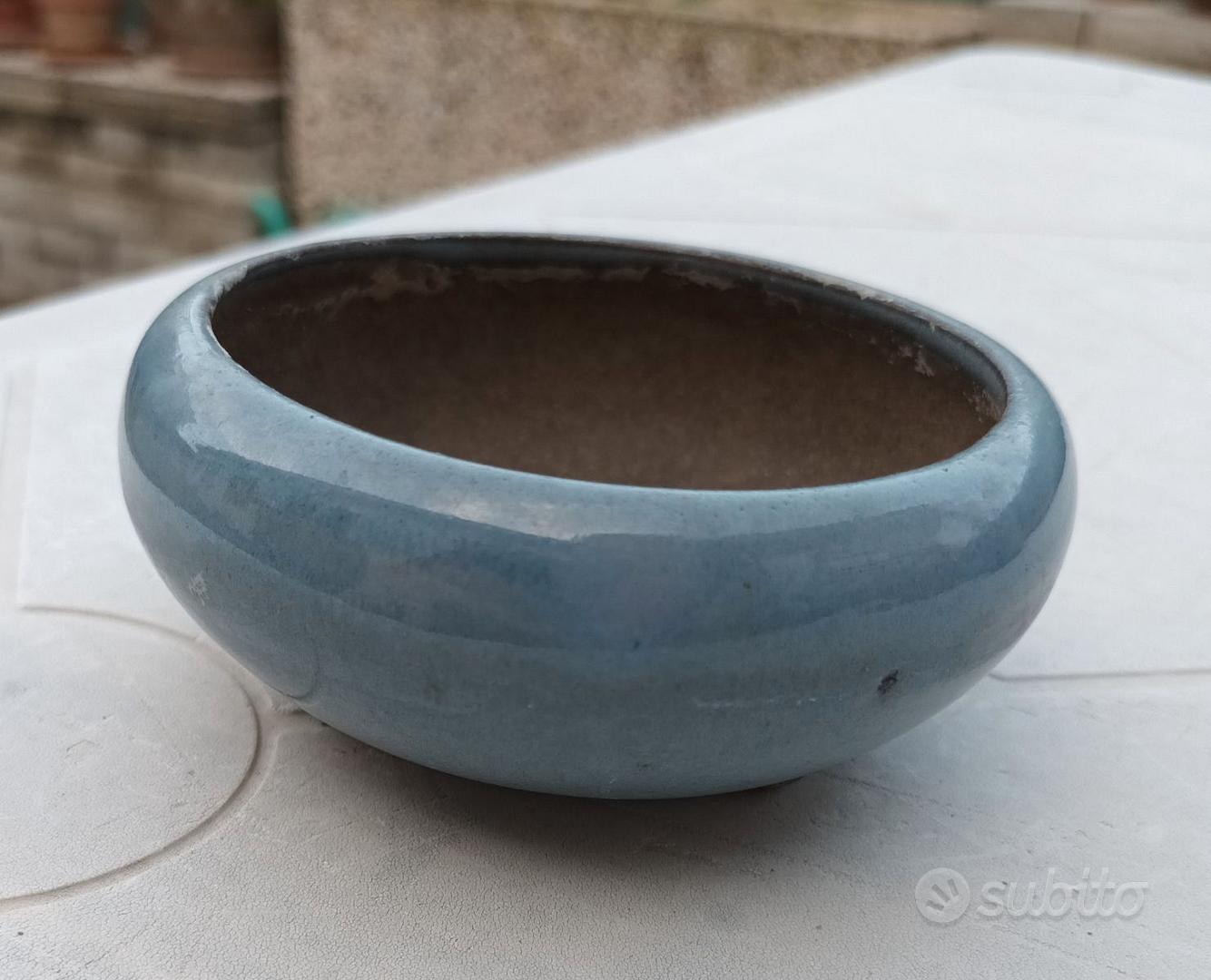 Vaso per Bonsai Rettangolare Originale - Giardino e Fai da te In vendita a  Parma