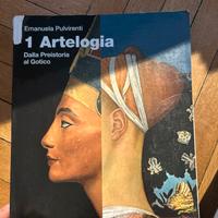 libro arte