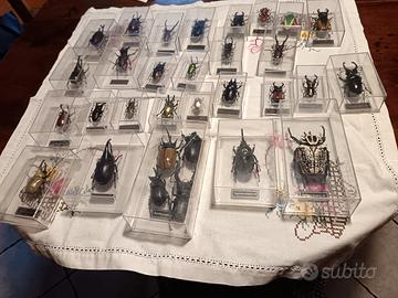 oggetti da collezione 