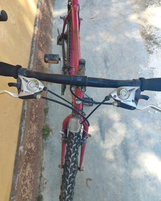 Bicicletta