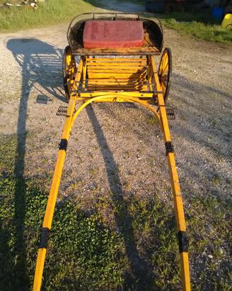 Carrozzina per cavallo