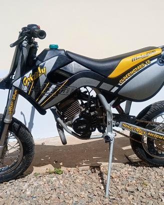minimotard grizzly 