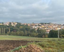 Casale con terreno