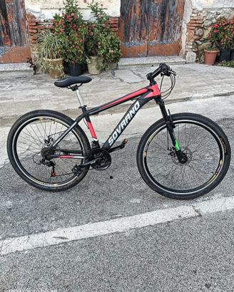 Bici Sovrano