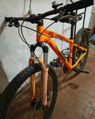 Bicicletta mountain-bike 