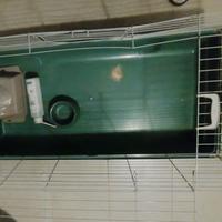 GABBIA PER CONIGLI E CAVIE