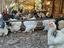 Immagine 1