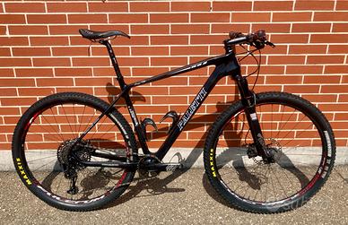 Cicli Paletti Tg XL 2020 by New Bike