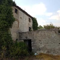 Oliveto con grande rudere da ristrutturare