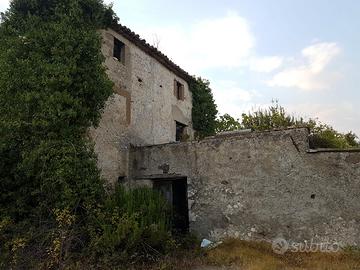 Oliveto con grande rudere da ristrutturare