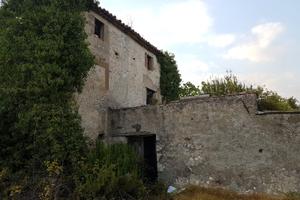 Oliveto con grande rudere da ristrutturare