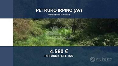 Immobile in asta di 4071 m² a Petruro Irpino